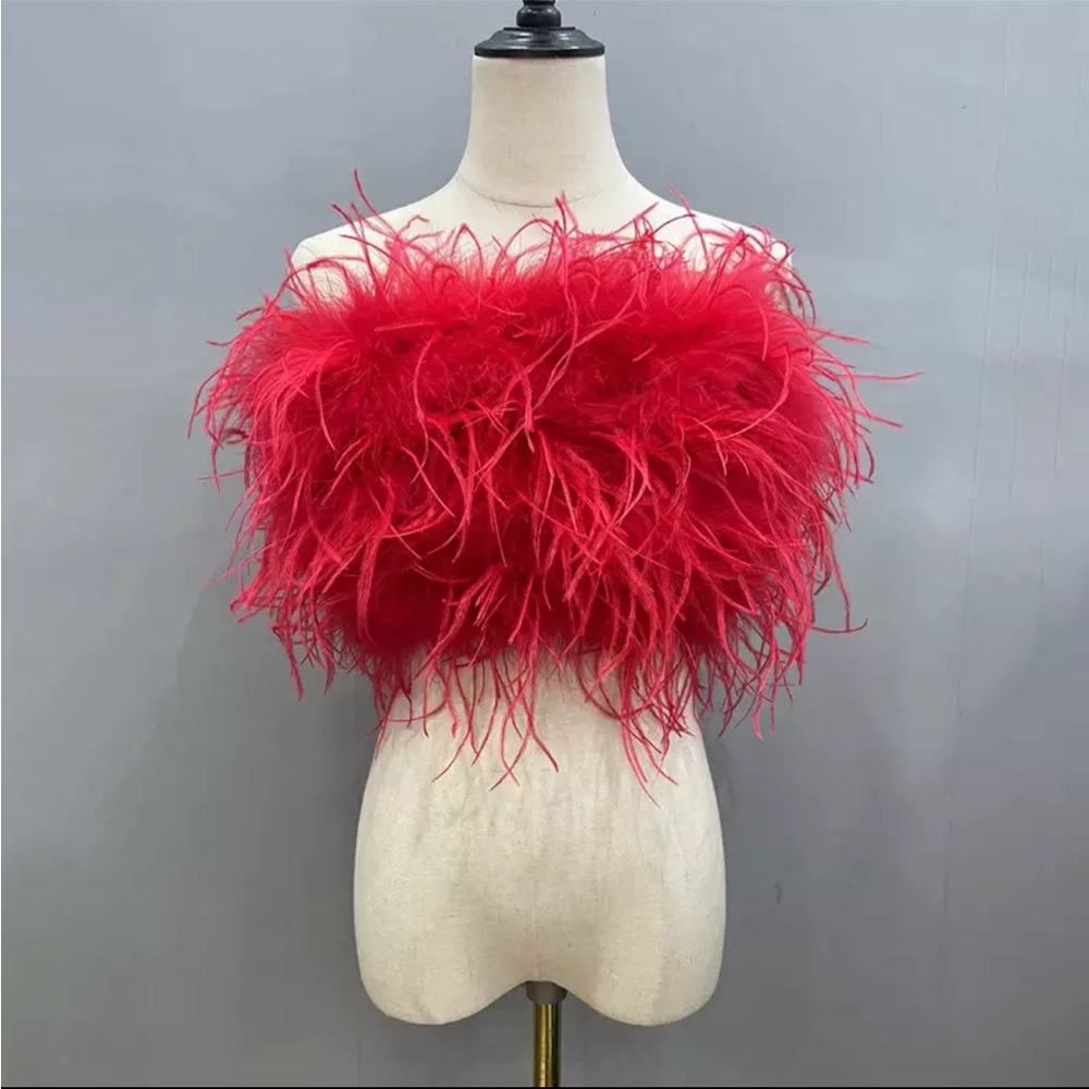 🎉Pre Order New 100% Real Ostrich Feathers Crop Top Or Wear As A Mini Ski…